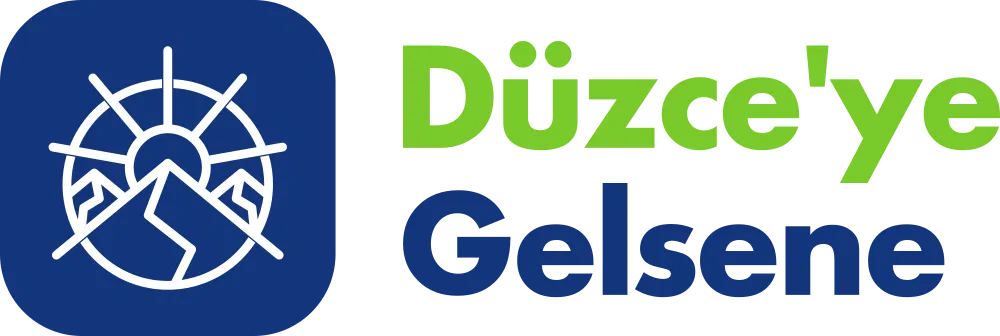 Düzceye Gelsene